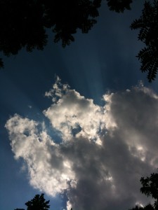 Maine sun