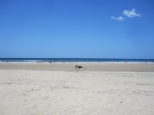 Tamagringo Beach